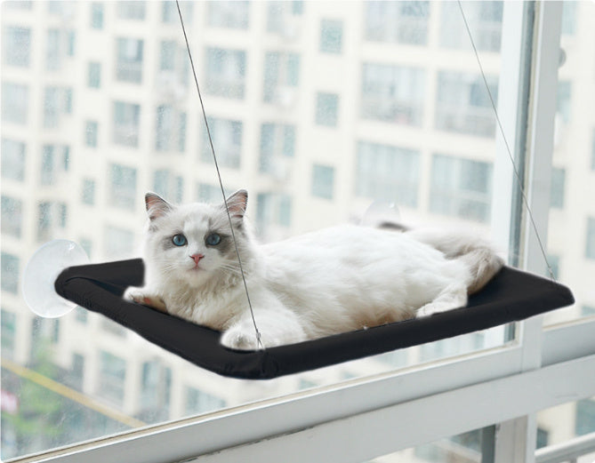 Cama para gatos con ventosa para ventana