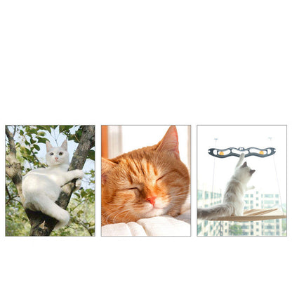 Cama para gatos con ventosa para ventana